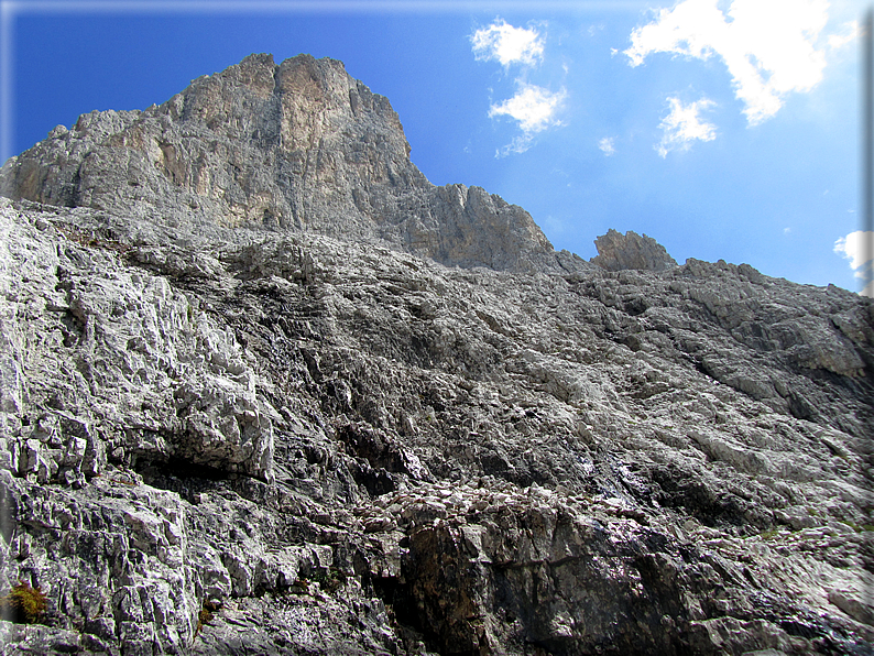 foto Pale di San Martino